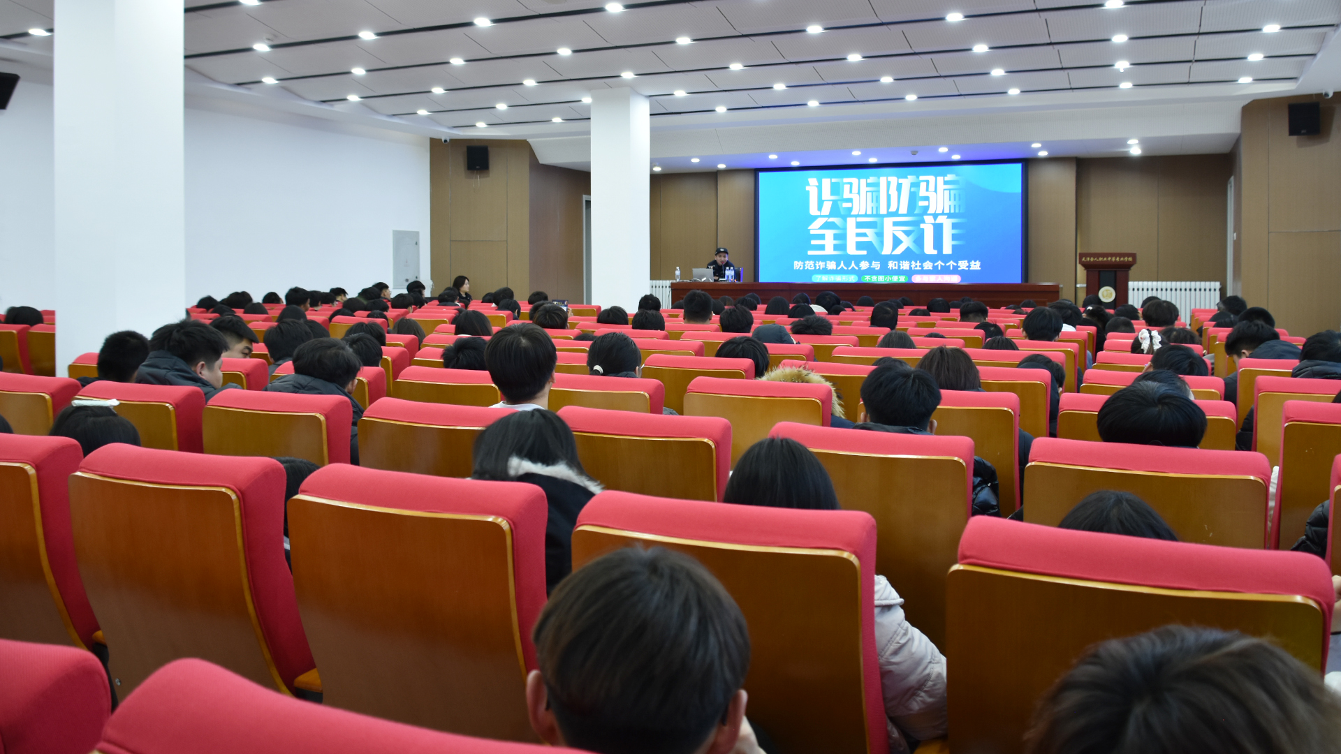 全体1.JPG