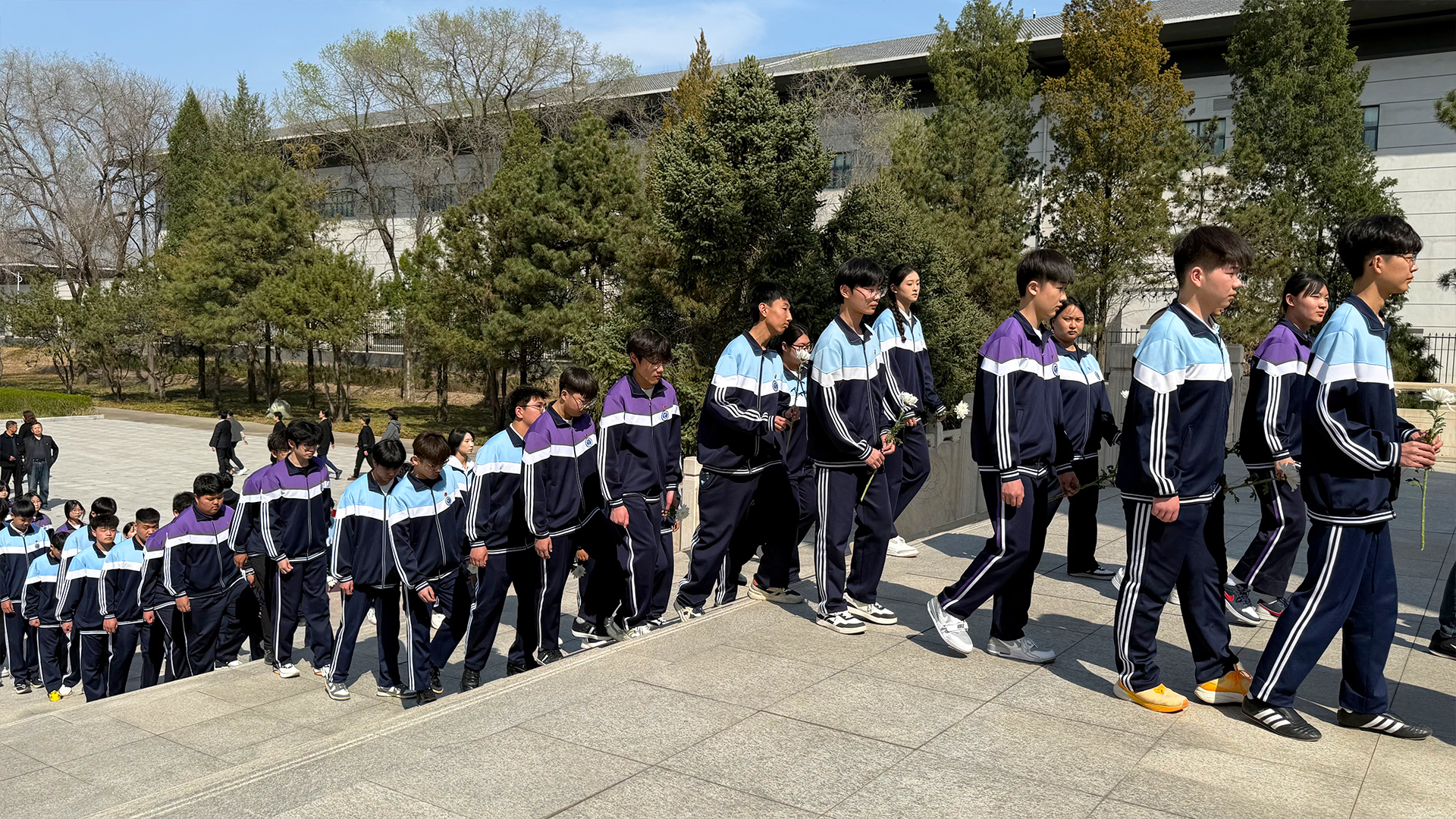 排队鲜花.jpg 排队鲜花.jpg